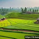 방글라데시 농촌 지역 경제 - **Prompt:** A vibrant, high-angle panoramic view of a thriving rural Bangladeshi agricultural landsc...